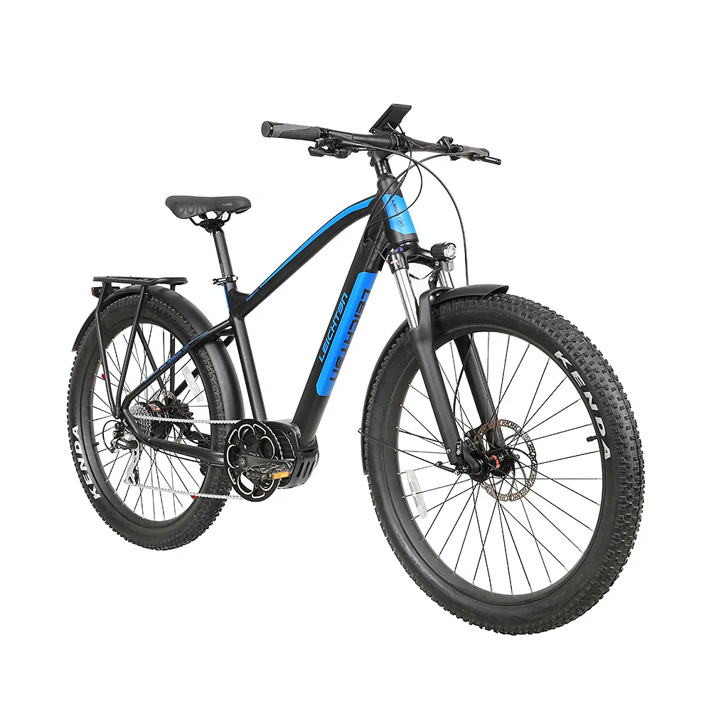 Wholesales China Manufacture High Quality 350W Brushless Mountain Bike 36V Electric Bicycle