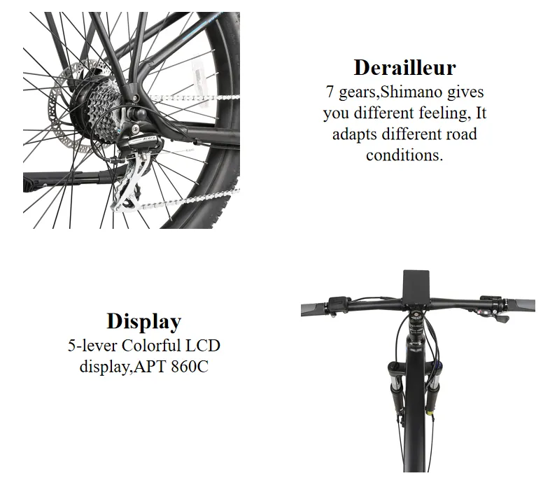 Wholesales China Manufacture High Quality 350W Brushless Mountain Bike 36V Electric Bicycle