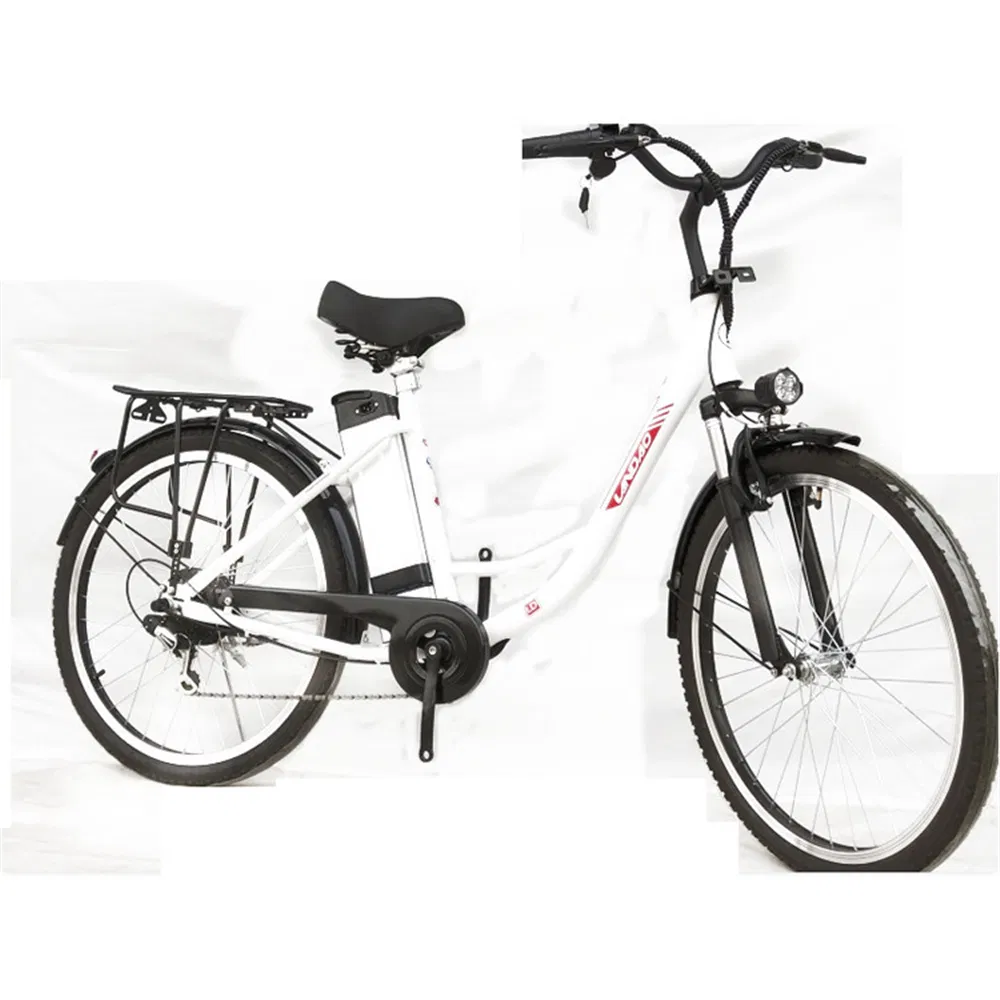 Women 29inch Vintage Sport Speed Electric Bike