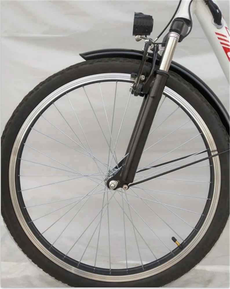Women 29inch Vintage Sport Speed Electric Bike