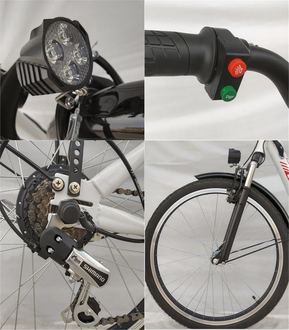 Women 29inch Vintage Sport Speed Electric Bike