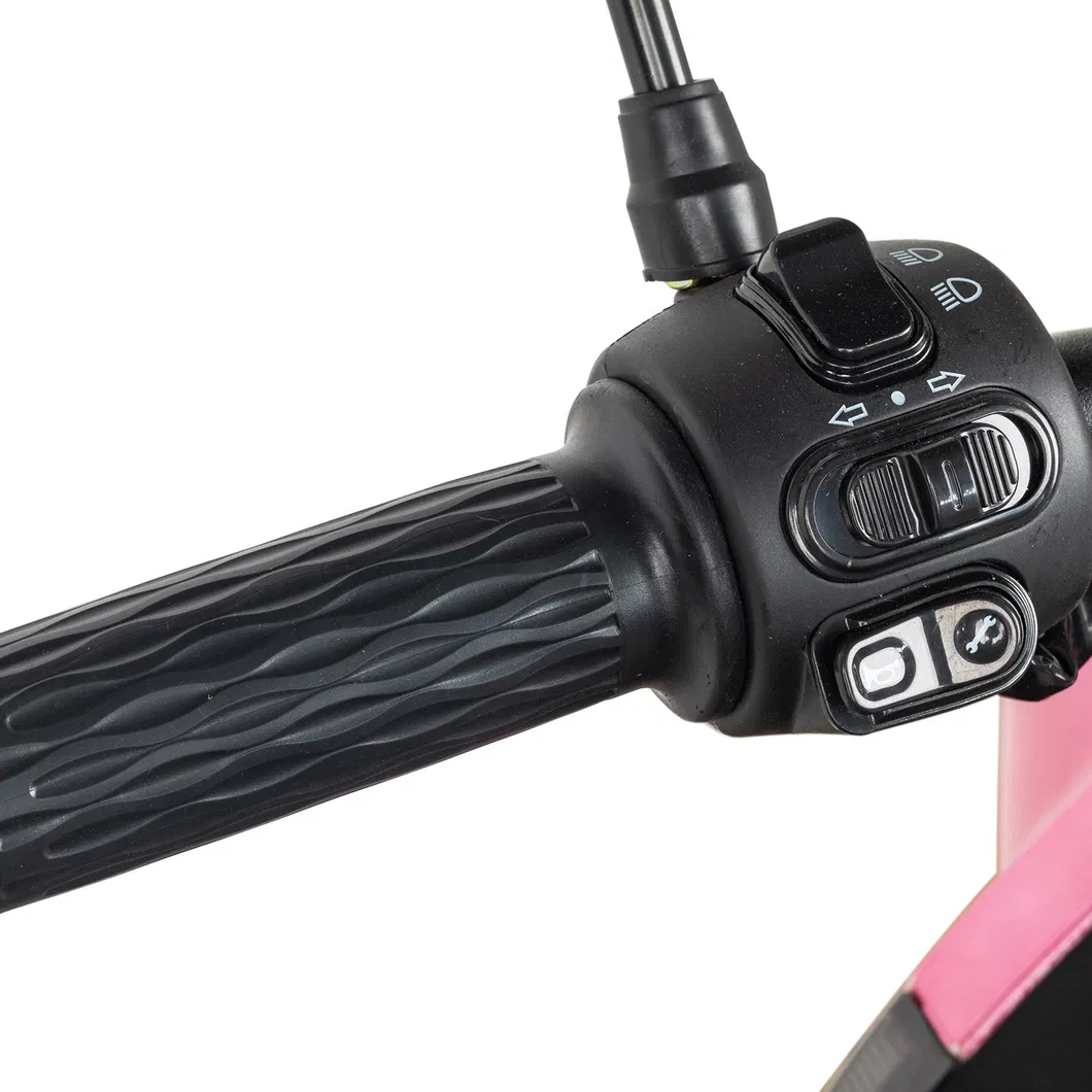 Woqu X1 Accesoire 3 Tekerli 5000W Siege Luqi Three Wiels Heartbeat Spare Electric in Panama Scooter Parts Citycoco